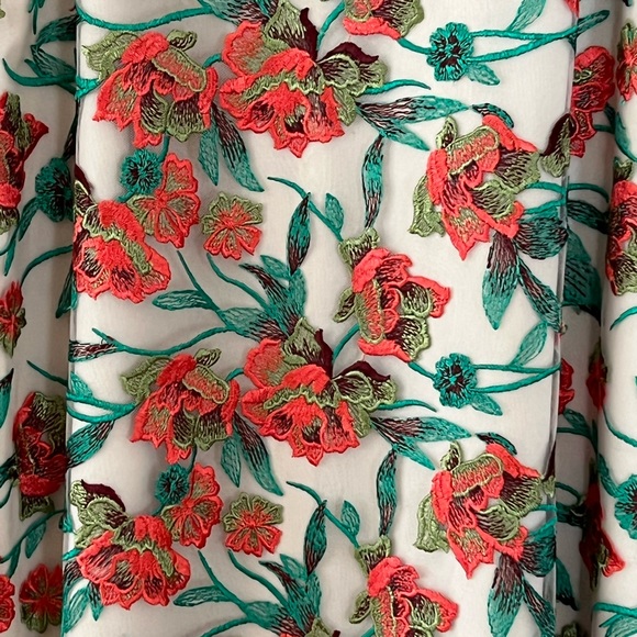 Formal Sleeveless Embroidered Dress by Laura Size Medium Like New - Picture 6 of 7